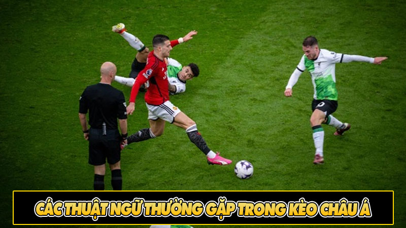 Các thuật ngữ thường gặp trong Kèo Châu Á